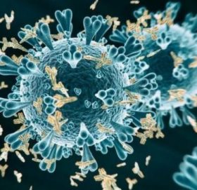 एक दिनमै एक हजारभन्दा बढी कोरोना सङ्क्रमित थपिए