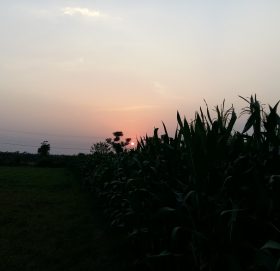 सूर्यास्तको मनै लोभ्याउने दृश्यः