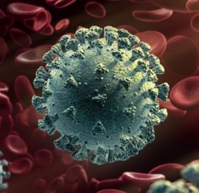 डब्ल्यूएचओले भन्यो : कोरोनाभाइरसको नयाँ प्रकार अझै धेरै विश्वव्यापी चिन्ताको विषय