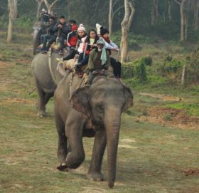 १३औँ चितवन महोत्सव पर्यटन केन्द्रित हुने