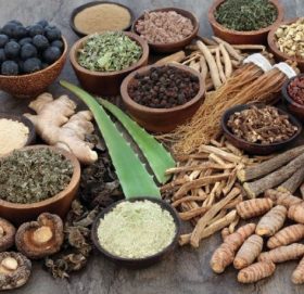 आयुर्वेदिक औषधिले ढिलो काम गर्छ– विश्वास कि भ्रम ?