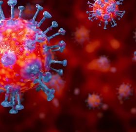 सक्रिय सङ्क्रमित पाँच हजार नाघे