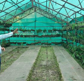 कायाकल्प भयो मकवानपुरको वनस्पति अनुसन्धान केन्द्र