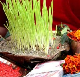 आज विजया दशमी, मान्यजनको हातबाट टीका–जमरा लगाएर मनाइँदै